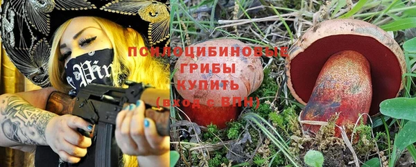 амф Бронницы
