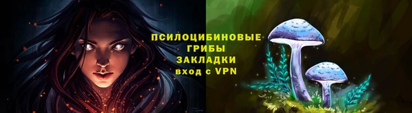 амф Бронницы