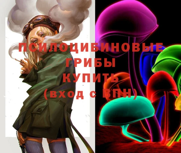 амф Бронницы